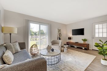 A living room with a grey couch, a white chair, a TV, and a plant.